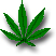 weed.jpg
